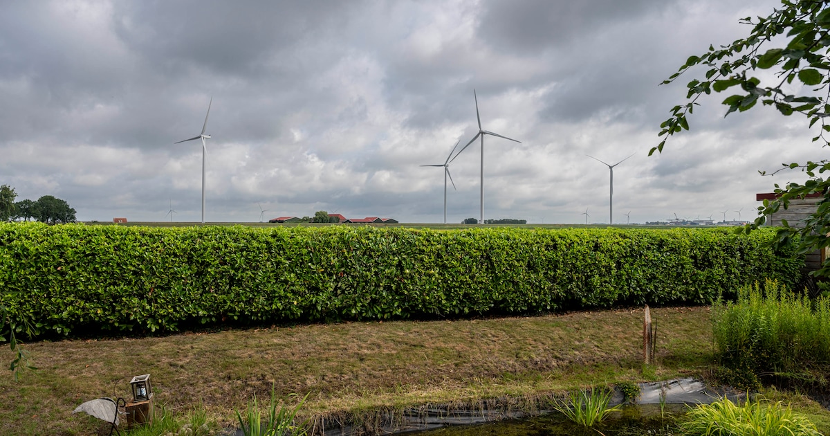 Rode nachtverlichting windpark Karolinapolder voortaan alleen bij luchtverkeer