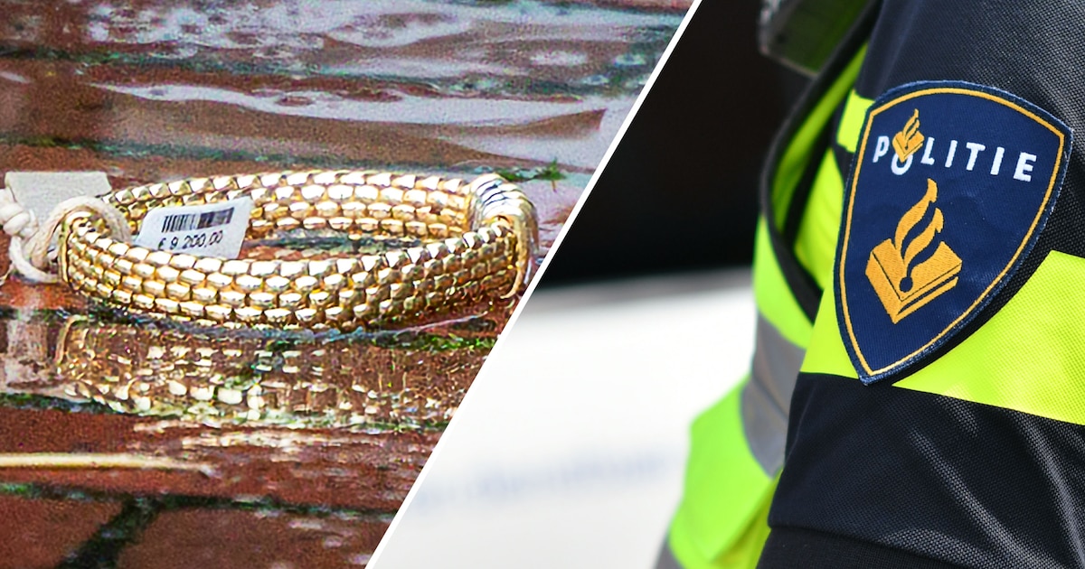 Als voor meer dan 100.000 euro aan juwelen foetsie is in Rijssen, moet rechercheur Martijn (45) bewi