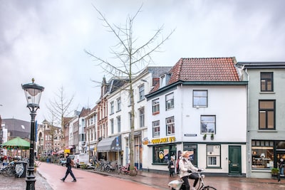 Kotslucht van ginkgo-bomen teistert de Voorstraat, waarom staan die daar eigenlijk?