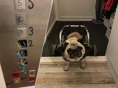 Image related to the article