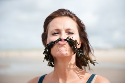 More than just a meat substitute: seaweed is more versatile than you think