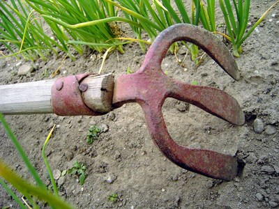 Image related to the article