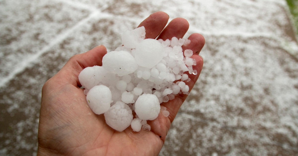 Fors meer schade in Twenterand door noodweer vorig jaar, schadebedrag door hagel naar hoogste niveau