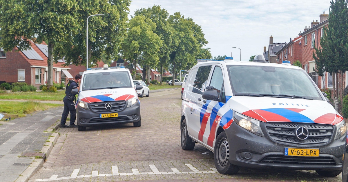 Katapult in beslag genomen na melding van schieten met een luchtdrukwapen in De Westereen