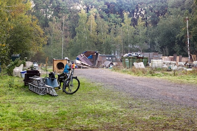 Image related to the article