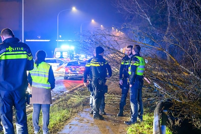 Image related to the article