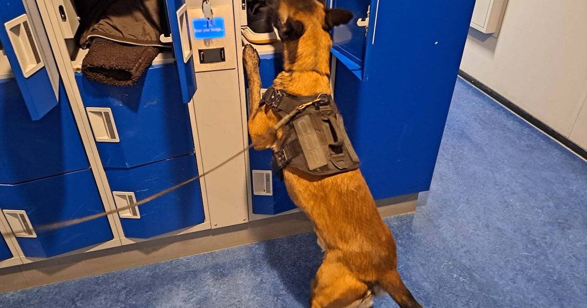 Duizenden kluisjes tegelijkertijd open: politie controleert alle Zwijndrechtse middelbare scholen