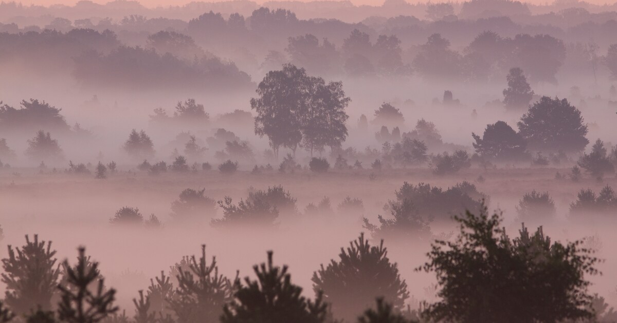Opklaringen en lokaal nevel of mist in Rijssen-Holten in de nacht
