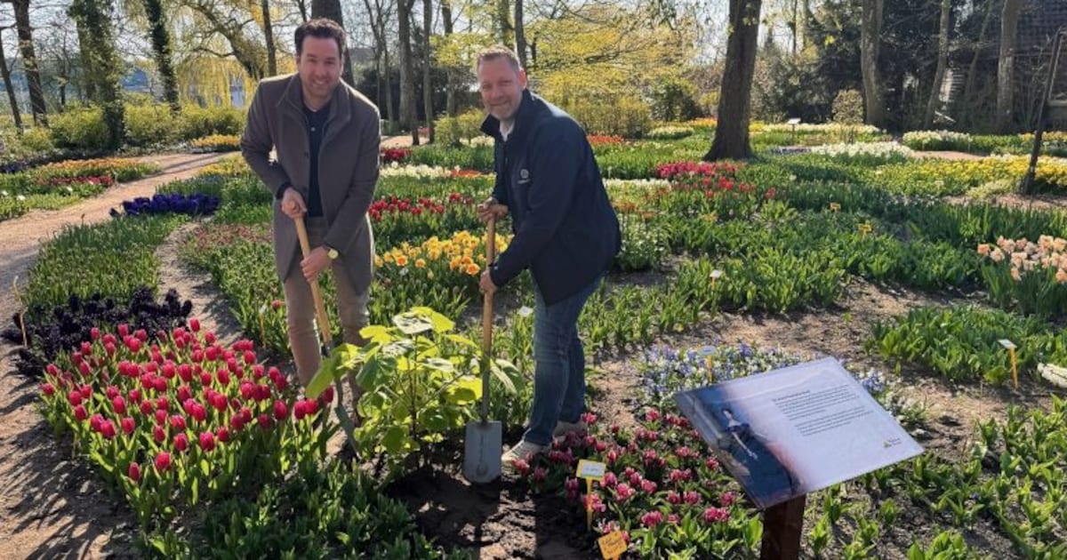 Nieuwe bomen in Anna Paulowna geplant ter ere van koningin Anna Paulowna