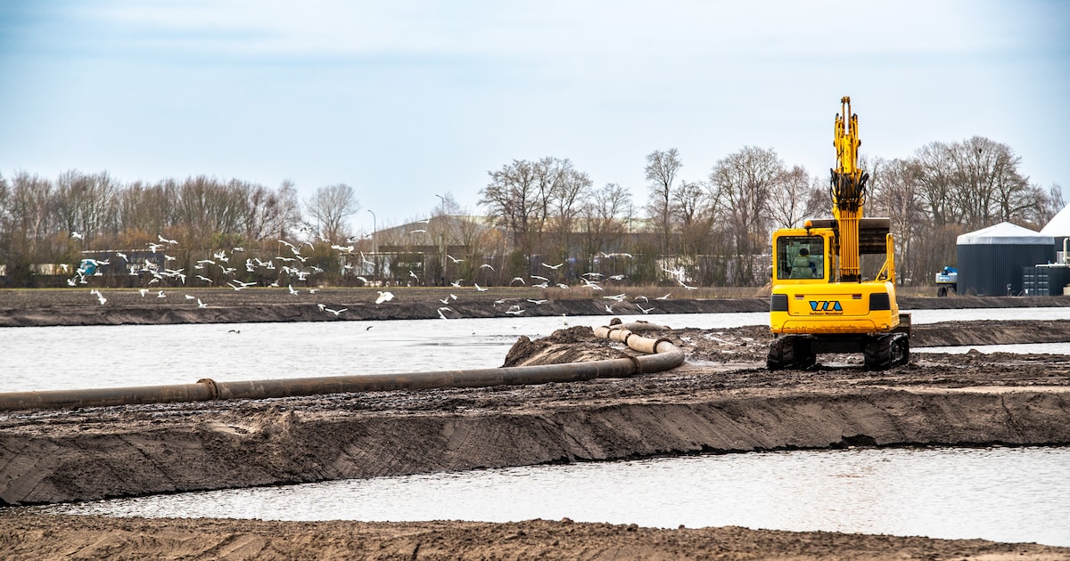 Dag maïs, hallo watervogels: waarom het landschap langs deze drukke brug in Salland er nu totaal and