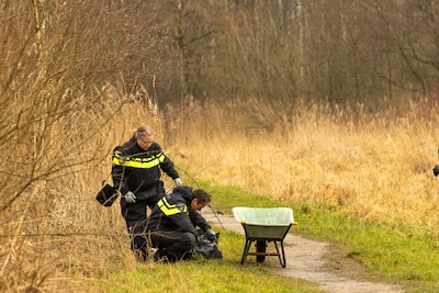 Image related to the article