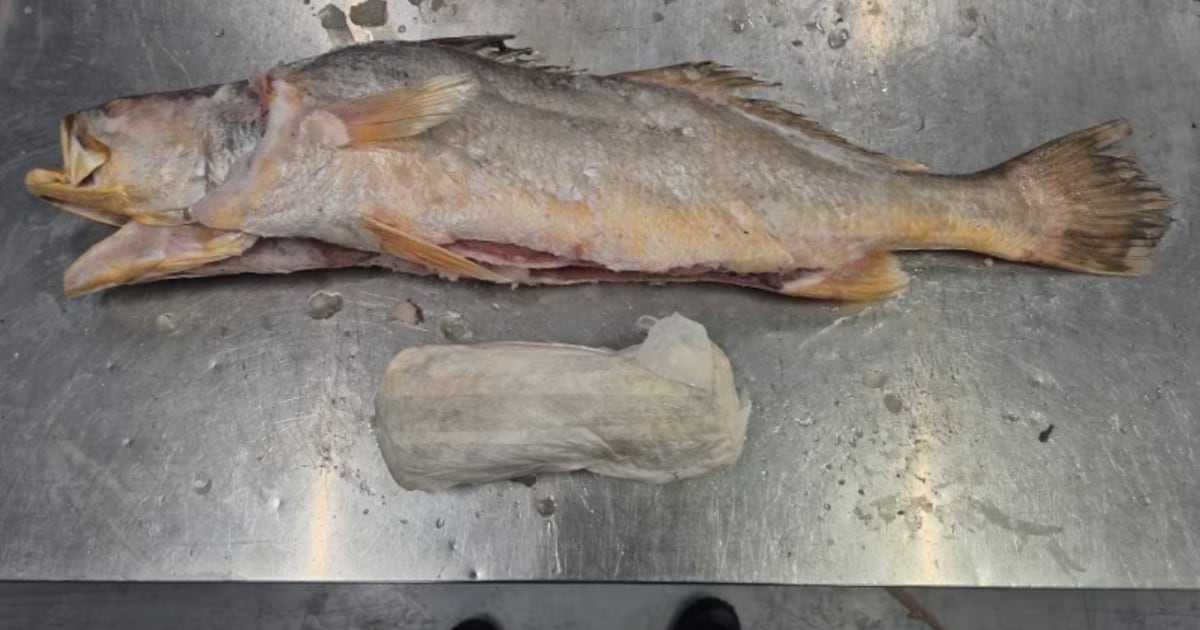 Ruim 300 kilo cocaïne gevonden in bevroren vissen in Barneveld