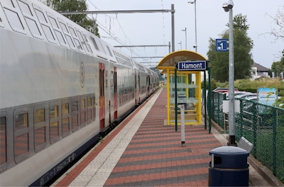 Image related to the article