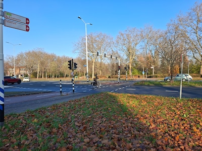 Trefpunt Groen negatief over nieuwe tunnel onder Limburglaan Eindhoven, waarvoor 46 bomen om moeten