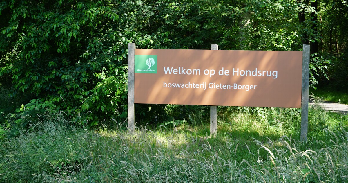 Hondsrug nog erfgoed? Gebied krijgt Unesco op bezoek