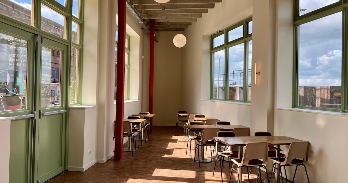 Café Punt opent, kleurrijk lied over Vierdaagsefeesten en meer nieuwtjes van deze week