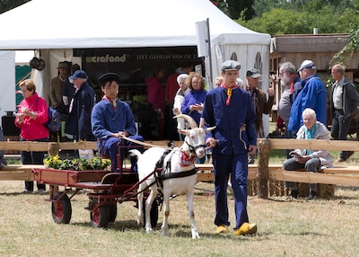 Extreme hitte dwingt Farm & Country Fair tot ingreep: vrijdag geen boerderijdieren op terrein