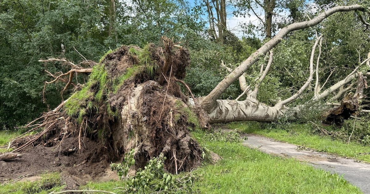 Stormschade in Veendam: opruimwerkzaamheden duren weken
