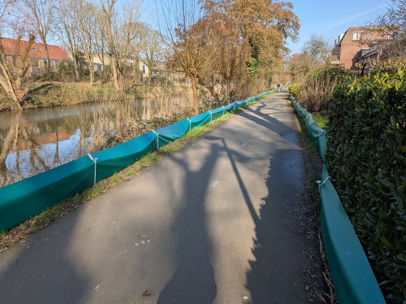 Aha! Daarom staan er groene schermen langs dit Utrechtse fietspad ...