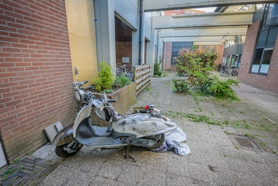 Image related to the article