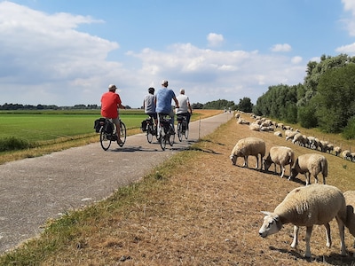Wezel en hermelijn houden verlenging Beverpad tegen: aanleg fietspad bij Lage Zwaluwe opnieuw vertra