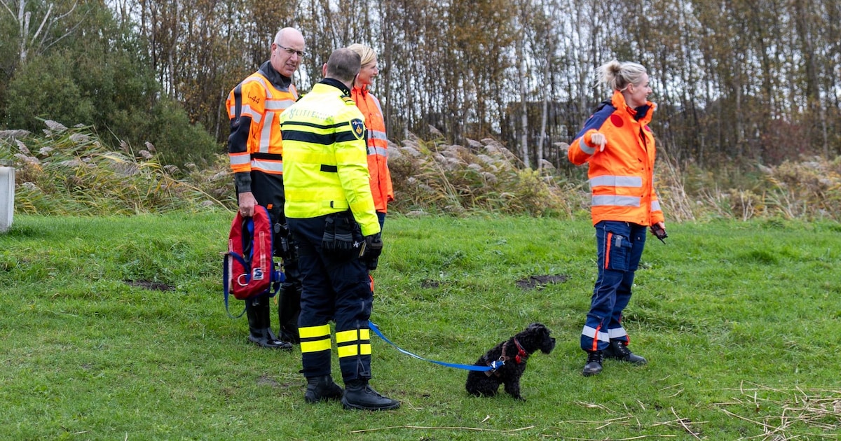 Groot alarm om mogelijke drenkeling in Landsmeer nadat doorweekt hondje wordt gevonden