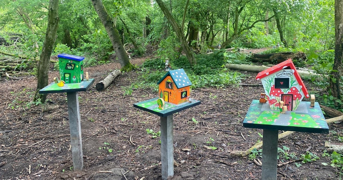 ‘Broze en bejaarde’ kabouters op zoek naar handige vrijwilliger die houten huisjes kan maken