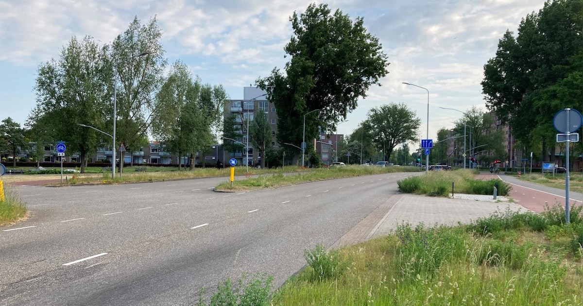 Prins Bernhardlaan in Haarlem gaat maand dicht voor werkzaamheden