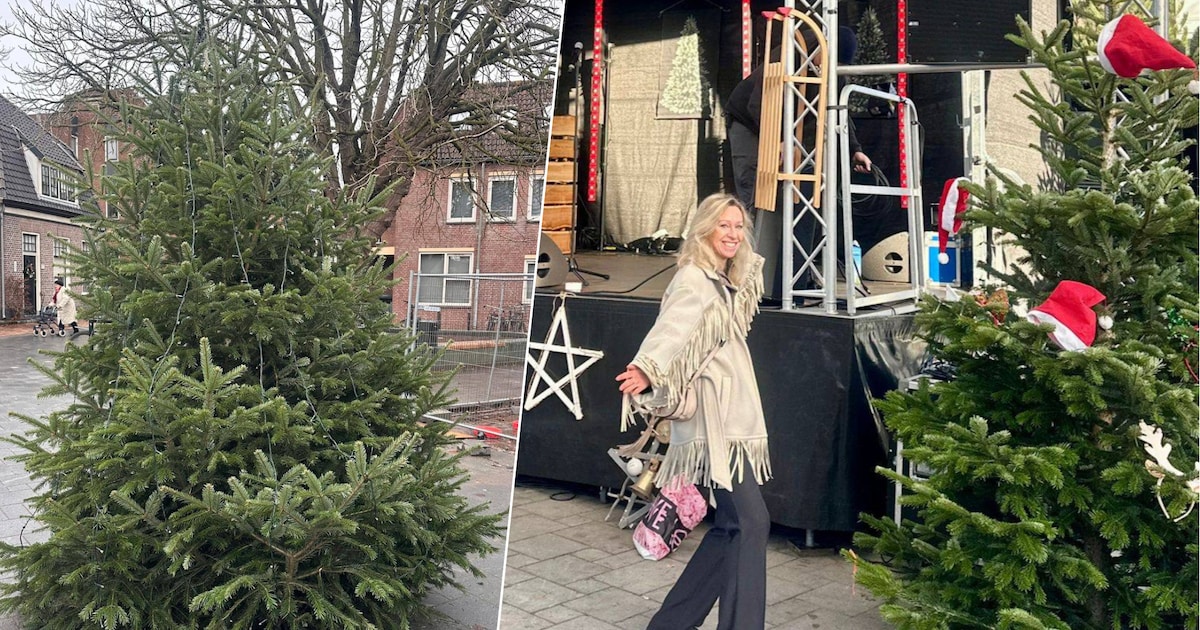 4 grote kerstbomen gestolen uit centrum Wassenaar: ‘Mysterie hoe ze boom van 5 meter hebben weggehaa