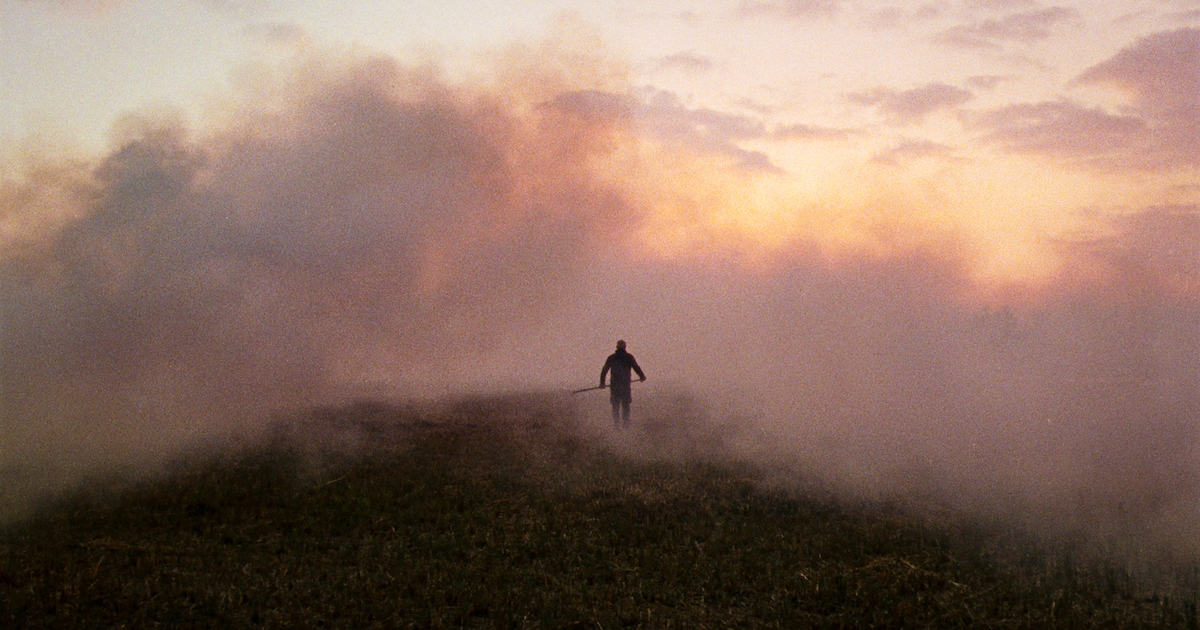 Rietlandmoord in Belt-Schutsloot gaat voor een Oscar