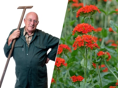 Van rood in de tuin kom je in de vakantiestemming