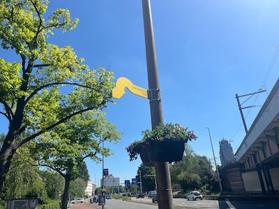 Mystery: what are all these yellow signs on Wibautstraat?