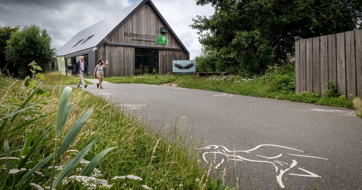 Bezoekers reageren verbaasd op sluitingsplannen Staatsbosbeheer: ‘Zo helpen ze de natuur naar de ver