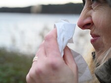 Je snot is wit van kleur als je kerngezond bent, waar of niet waar? 