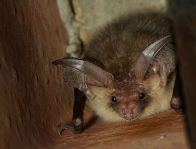 Image related to the article