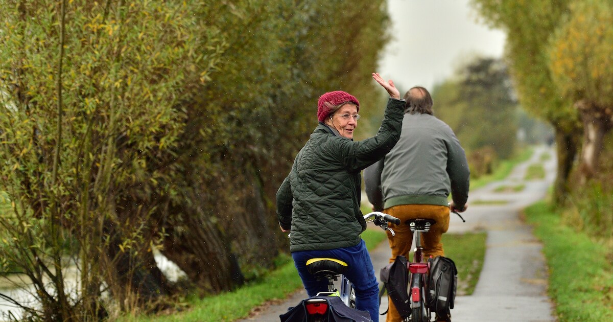 Op de Gunterwaaitroute fiets je over hoge dijken en door laag gelegen polders | Foto