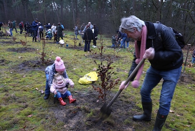 Image related to the article