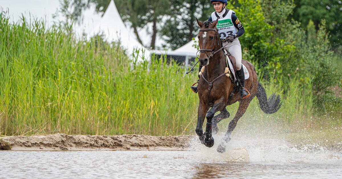 Paardenspektakel in Kuinderbos: internationale top komt naar Flevoland