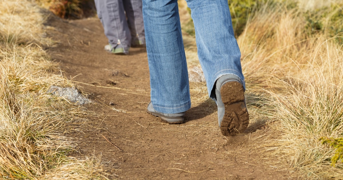 Gids leidt excursie door landgoed Monnikenberg bij Hilversum