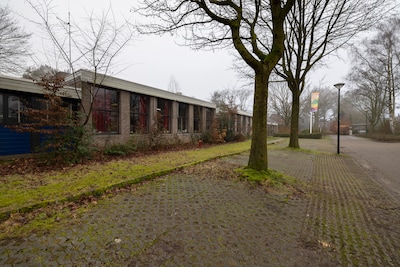 Image related to the article