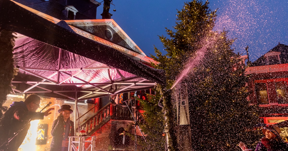 Binnenstad Vlaardingen wordt winterparadijs met markt en optredens