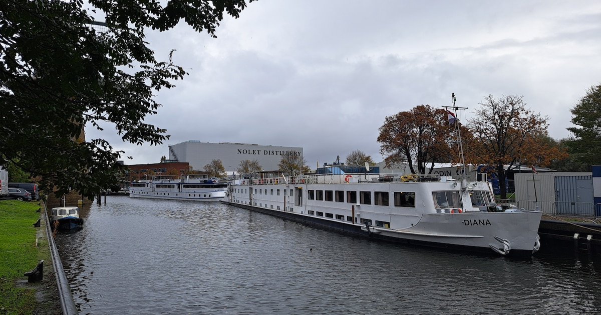 Asielschip Diana zorgt voor ophef in Schiedamse wijk: ‘Vrouwen worden naar huis achtervolgd en nagef