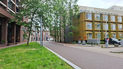 Image related to the article