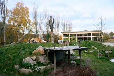 Restaurant De Waterplaats is nieuwe pleisterplaats in Eindhoven Zoo