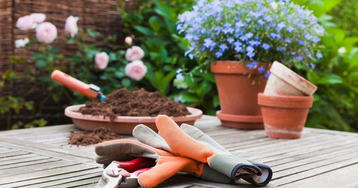 Gratis tuincoaches in Dongen adviseren over groene en klimaatvriendelijke tuinen