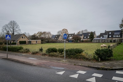 Image related to the article