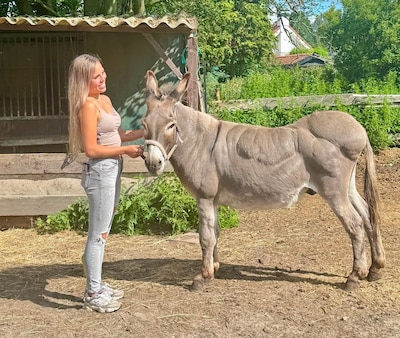 Image related to the article