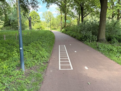 A-ha! Dit betekenen die witte vlakken op het Janus Meulendijkspad