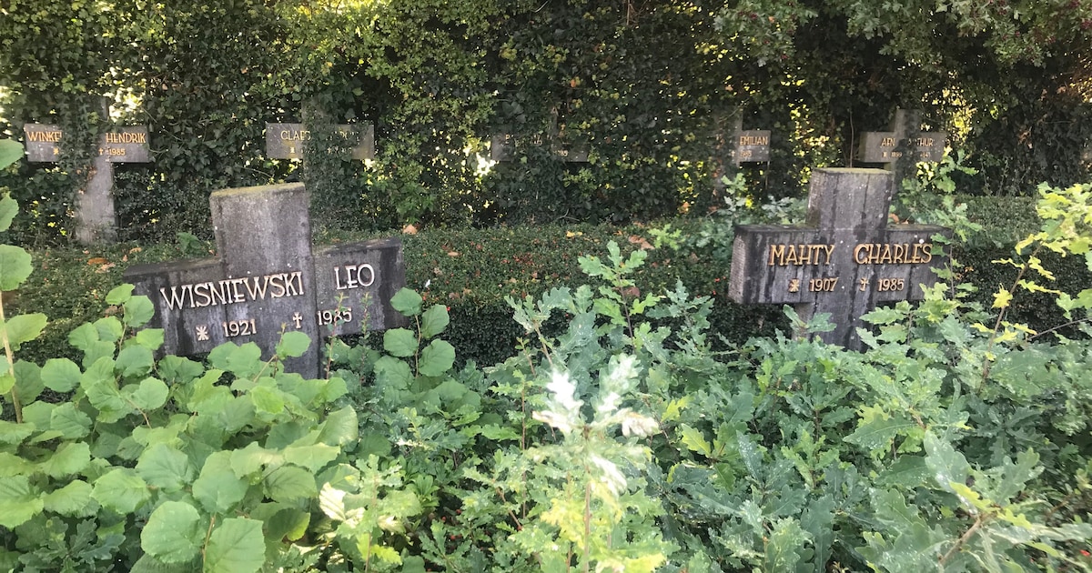 Troostcafé in Arendonk brengt mensen samen rond rouw en verlies op 22 januari