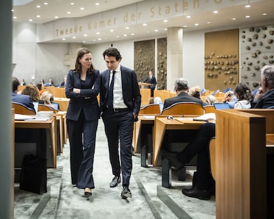 Shopposition, propposition or pacemakers: the constructive opposition deserves a new name